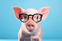 Pig glasses portrait mammal. AI generated Image by rawpixel.