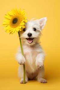 Baby dog sunflower mammal animal. AI generated Image by rawpixel.