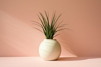 Ceramic pot plant vase wall houseplant. AI generated Image by rawpixel.