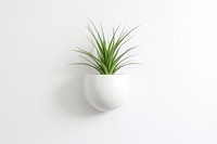 Cute ceramic pot plant vase wall houseplant. AI generated Image by rawpixel.