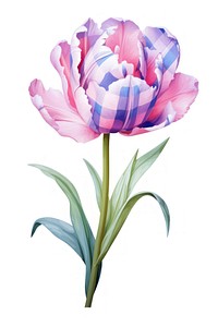 Tulip flower blossom plant rose. AI generated Image by rawpixel.