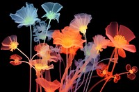 Wildflower petal plant inflorescence. AI generated Image by rawpixel.
