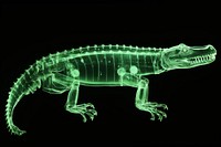 Crocodile reptile animal green. AI generated Image by rawpixel.