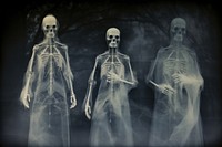 Halloween x-ray adult representation. AI generated Image by rawpixel.