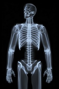 Human body x-ray radiography futuristic. AI generated Image by rawpixel.