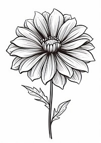 Flower drawing dahlia sketch. AI generated Image by rawpixel.