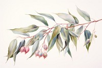 Eucalyptus oil drawing painting sketch. AI generated Image by rawpixel.