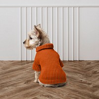 Dog's knitted sweater mockup psd