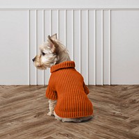 Dog's knitted sweater, pet clothing