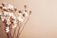 Aesthetic background blossom flower cotton. AI generated Image by rawpixel.
