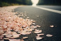 Aesthetic background flower petal road. AI generated Image by rawpixel.
