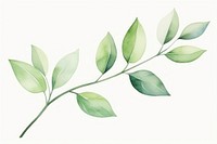 Aesthetic watercolor background plant green leaf. AI generated Image by rawpixel.