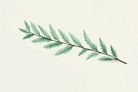 Aesthetic watercolor background branch nature plant. AI generated Image by rawpixel.