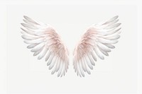 Angel wings angel white bird. AI generated Image by rawpixel.