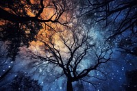 The Milky Way and the trees outdoors nature night. AI generated Image by rawpixel.