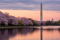 Washington DC architecture tranquility reflection. AI generated Image by rawpixel.