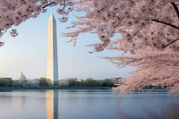 Washington DC architecture reflection springtime. 