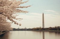 Washington DC architecture tranquility reflection. AI generated Image by rawpixel.