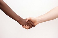 Interracial couple holding hands handshake adult white background. AI generated Image by rawpixel.