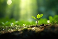 Nature bokeh outdoors plant green. AI generated Image by rawpixel.