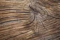Old wooden oak tree surface hardwood backgrounds monochrome. AI generated Image by rawpixel.