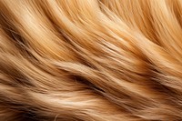 Dog hair texture fur backgrounds full frame. AI generated Image by rawpixel.