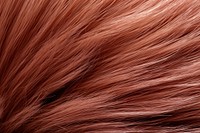 Dog hair texture fur backgrounds full frame. AI generated Image by rawpixel.