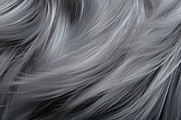 Grey animal hair texture pattern backgrounds accessories. AI generated Image by rawpixel.
