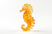 Gummy seahorse white background yellow nature. AI generated Image by rawpixel.