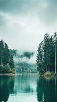 The lake surrounded by trees and clouds landscape outdoors nature. 