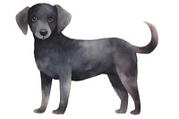 Black dog animal mammal pet. AI generated Image by rawpixel.