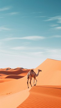 Camel at desert outdoors nature animal. AI generated Image by rawpixel.