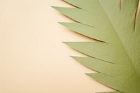 Simple palm leave backgrounds pattern texture. 