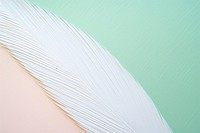 Feather backgrounds abstract pattern. AI generated Image by rawpixel.