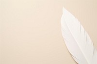 Feather shape white backgrounds pattern. AI generated Image by rawpixel.