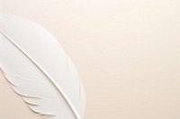 Feather shape backgrounds pattern white. AI generated Image by rawpixel.