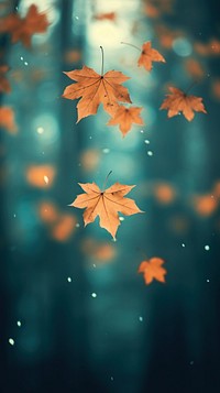 Maple leaves falling with forest background backgrounds plant light. AI generated Image by rawpixel.