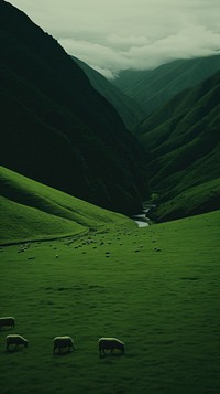 Black sheep grazing on a lush green field landscape grassland livestock. AI generated Image by rawpixel.