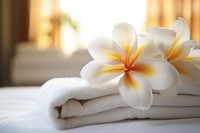 Spa bed towel flower plant. AI generated Image by rawpixel.