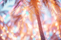 Palm tree shape pattern bokeh effect background backgrounds outdoors nature. AI generated Image by rawpixel.