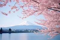 Mountain outdoors blossom nature. AI generated Image by rawpixel.