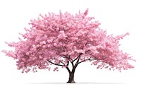 Sakura tree blossom flower plant. AI generated Image by rawpixel.