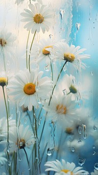 Daisies outdoors flower petal. AI generated Image by rawpixel.