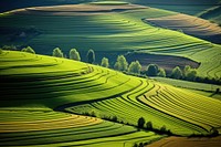 Fields with different crops agriculture landscape outdoors. AI generated Image by rawpixel.