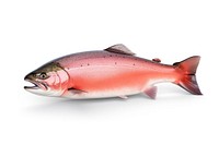 Salmon animal trout fish. AI generated Image by rawpixel.