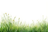 Grass landscape nature backgrounds. AI generated Image by rawpixel.