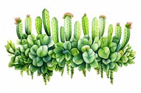 Cactus nature plant freshness. AI generated Image by rawpixel.