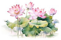 Lotus flowers nature plant lily. AI generated Image by rawpixel.