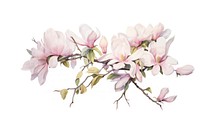 Magnolia flowers blossom nature petal. AI generated Image by rawpixel.