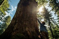 Kid hugging a big tree forest sky outdoors. AI generated Image by rawpixel.